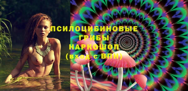 индика Балабаново