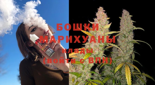 индика Балабаново
