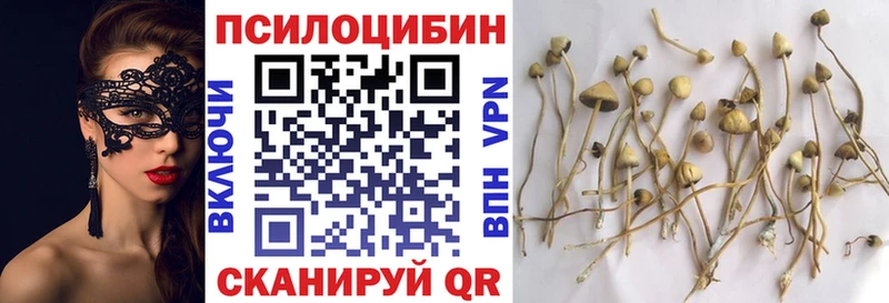Галлюциногенные грибы Magic Shrooms  купить  цена  shop какой сайт  Гвардейск 